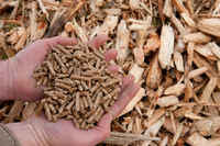 //iqrorwxhppnolm5m-static.ldycdn.com/cloud/lpBpiKrollSRlklkqliojo/wood-pellets-WPAC.jpg